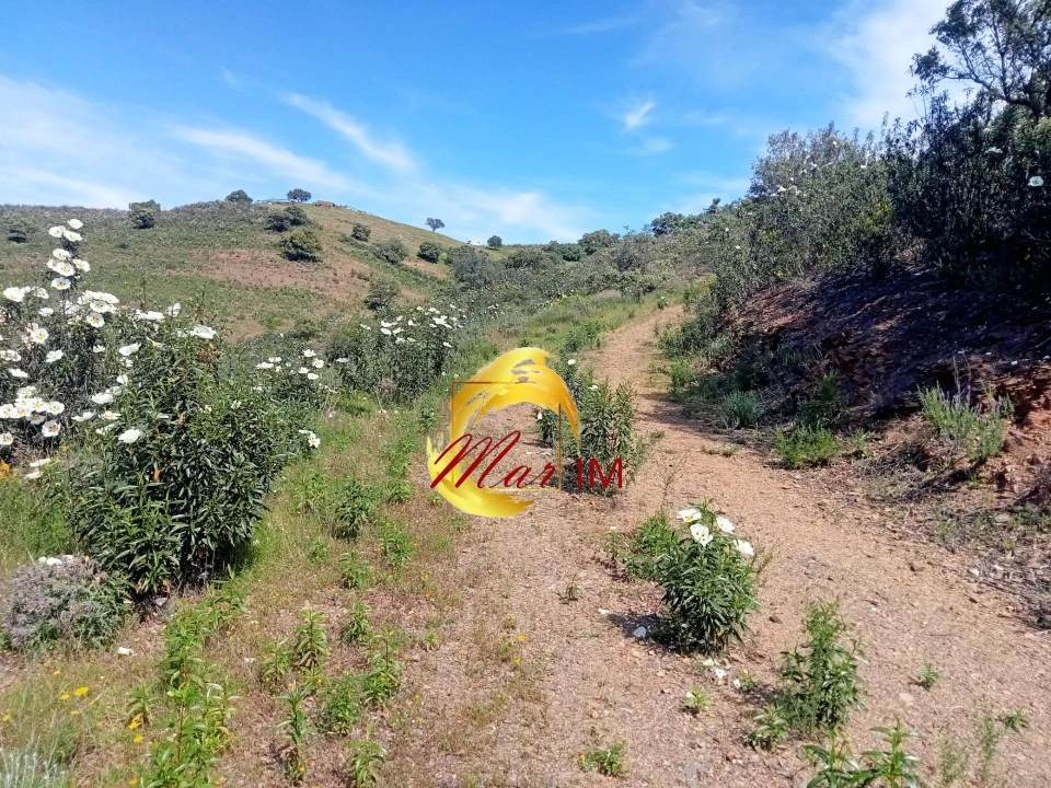 Terreno Agricola ou Rústico para Venda em Odeleite Foto 13