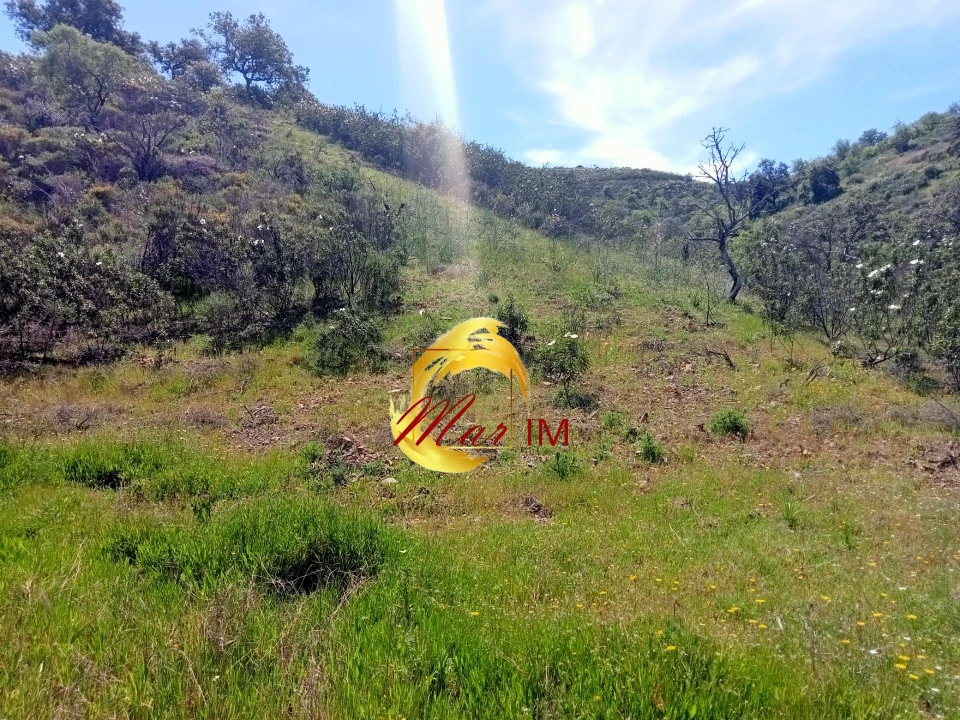 Terreno Agricola ou Rústico para Venda em Odeleite Foto 16