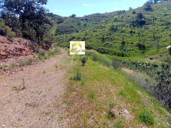 Terreno Agricola ou Rústico para Venda em Odeleite Foto 10
