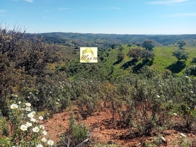 Terreno Agricola ou Rústico para Venda em Odeleite Foto 11