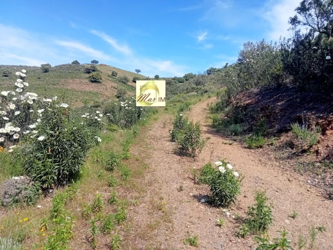 Terreno Agricola ou Rústico para Venda em Odeleite Foto 12