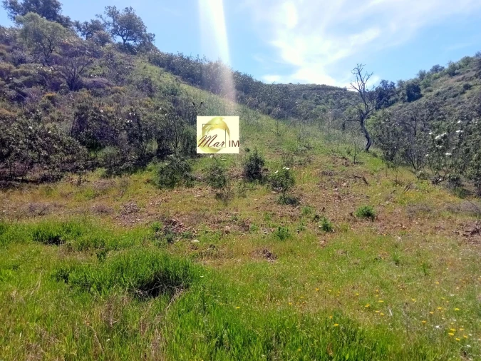 Terreno Agricola ou Rústico para Venda em Odeleite Foto 16