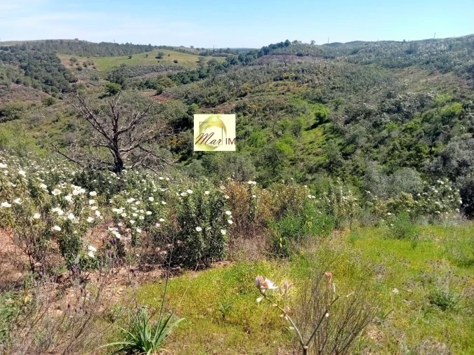 Terreno Agricola ou Rústico para Venda em Odeleite Foto 3