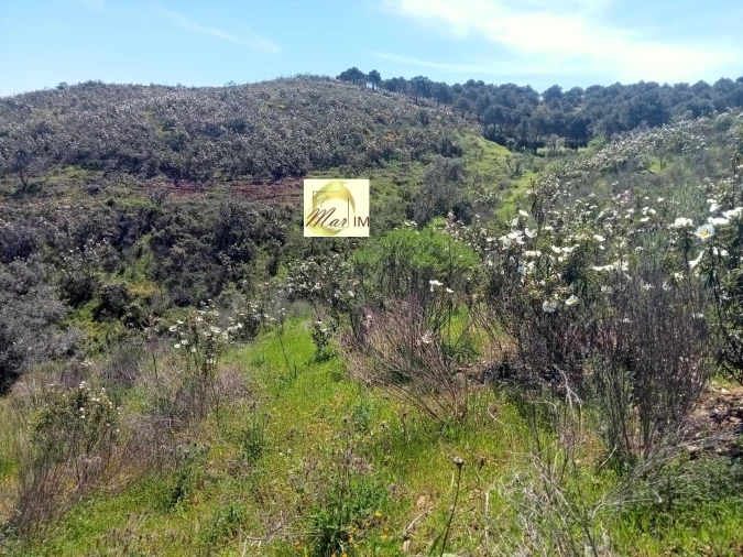 Terreno Agricola ou Rústico para Venda em Odeleite Foto 4
