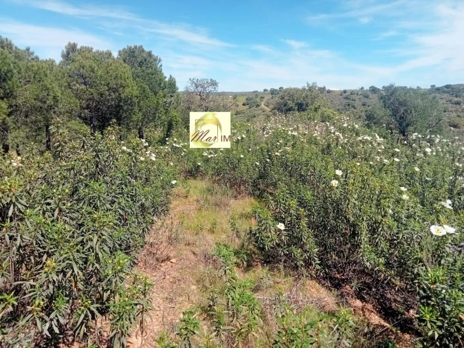 Terreno Agricola ou Rústico para Venda em Odeleite Foto 6