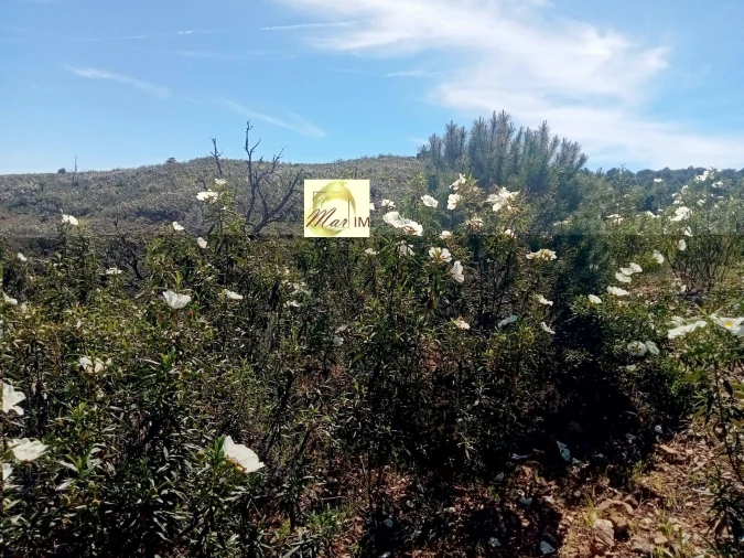 Terreno Agricola ou Rústico para Venda em Odeleite Foto 7
