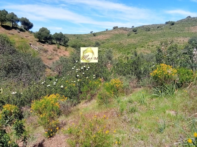 Terreno Agricola ou Rústico para Venda em Odeleite Foto 8