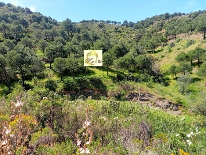 Terreno Agricola ou Rústico para Venda em Odeleite Foto 9