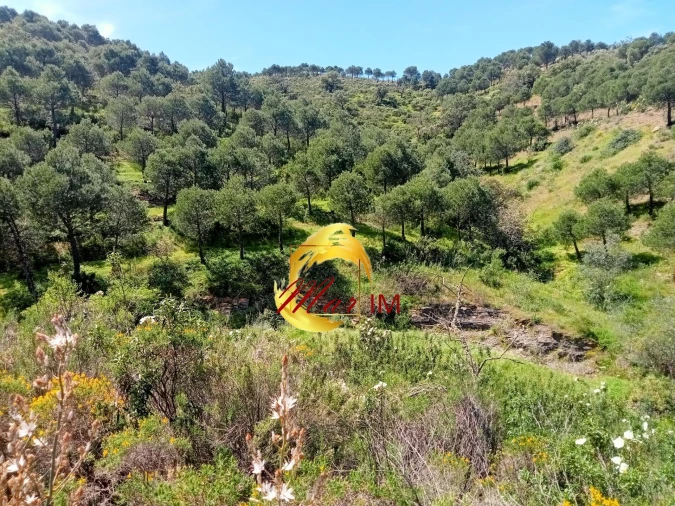 Terreno Agricola ou Rústico para Venda em Odeleite Foto 10