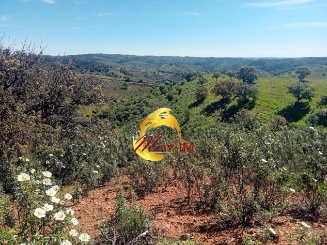 Terreno Agricola ou Rústico para Venda em Odeleite Foto 12