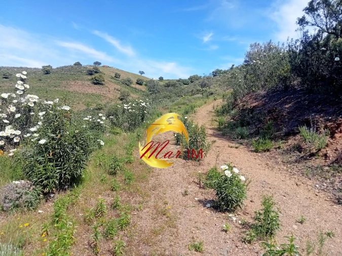 Terreno Agricola ou Rústico para Venda em Odeleite Foto 13