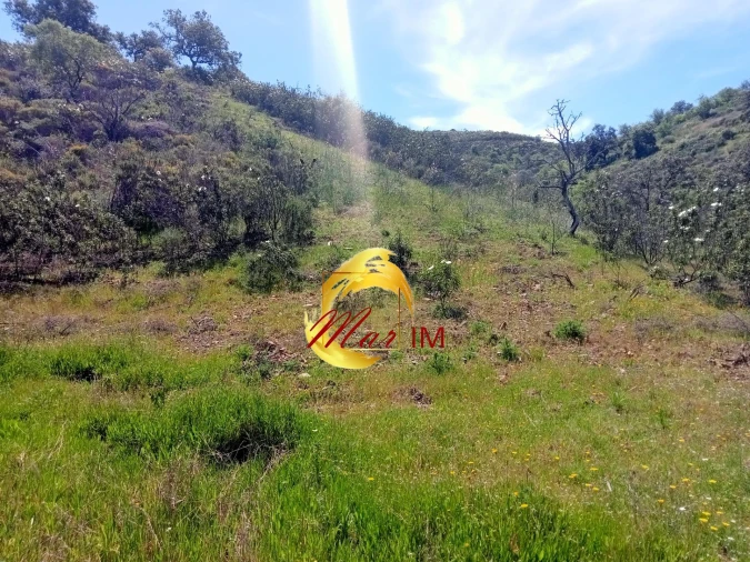 Terreno Agricola ou Rústico para Venda em Odeleite Foto 16