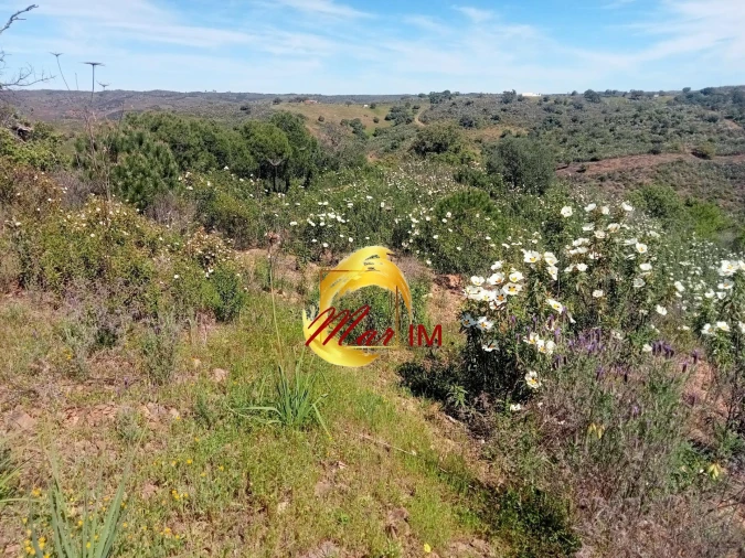 Terreno Agricola ou Rústico para Venda em Odeleite Foto 3