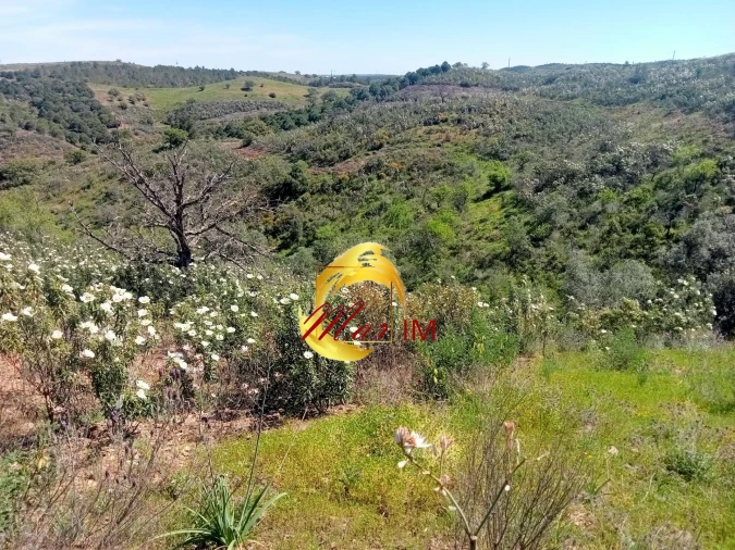 Terreno Agricola ou Rústico para Venda em Odeleite Foto 4