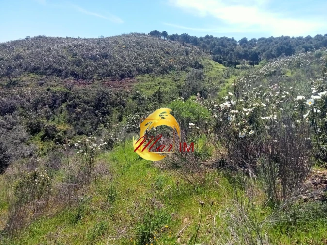 Terreno Agricola ou Rústico para Venda em Odeleite Foto 5