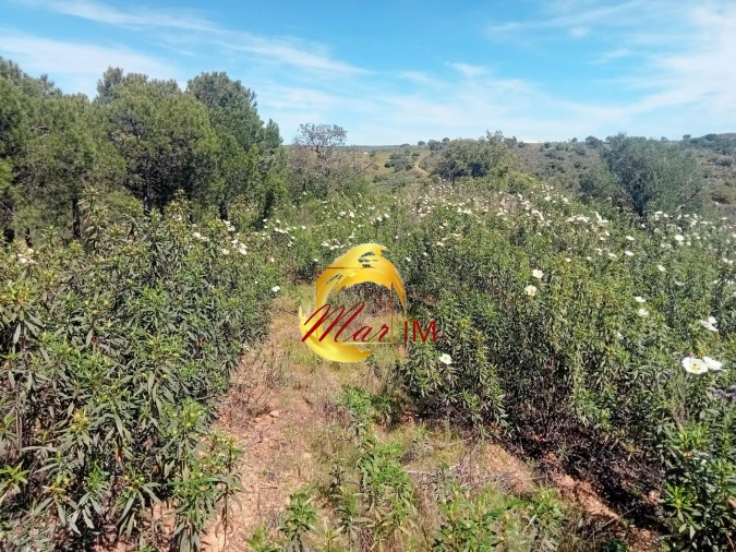 Terreno Agricola ou Rústico para Venda em Odeleite Foto 7