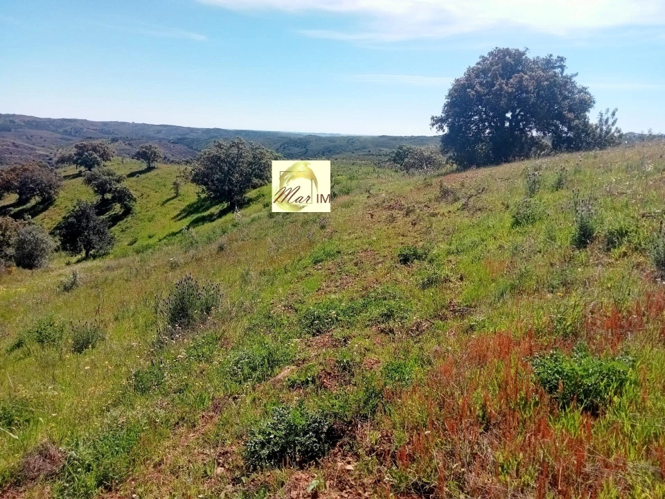 Terreno Agricola ou Rústico para Venda em Azinhal Foto 1