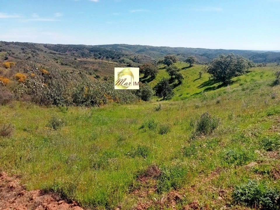 Terreno Agricola ou Rústico para Venda em Azinhal Foto 4