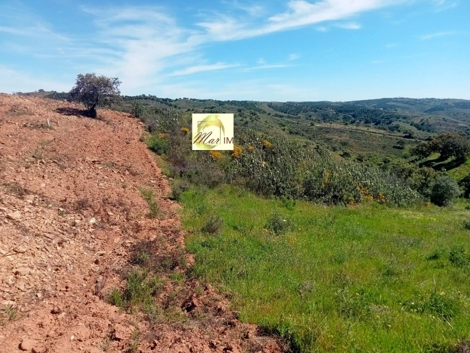 Terreno Agricola ou Rústico para Venda em Azinhal Foto 5