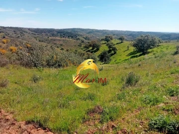 Terreno Agricola ou Rústico para Venda em Azinhal