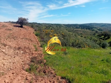 Terreno Agricola ou Rústico para Venda em Azinhal