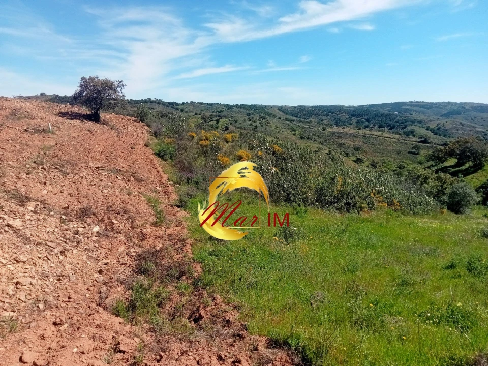 Terreno Agricola ou Rústico para Venda em Azinhal Foto 1