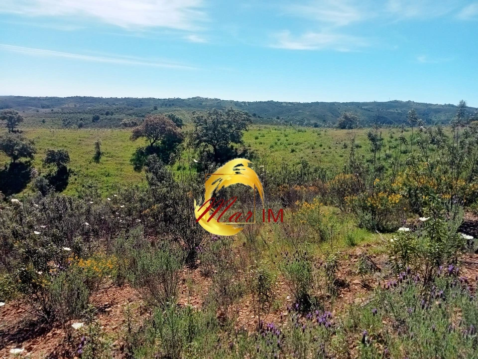 Terreno Agricola ou Rústico para Venda em Azinhal Foto 2