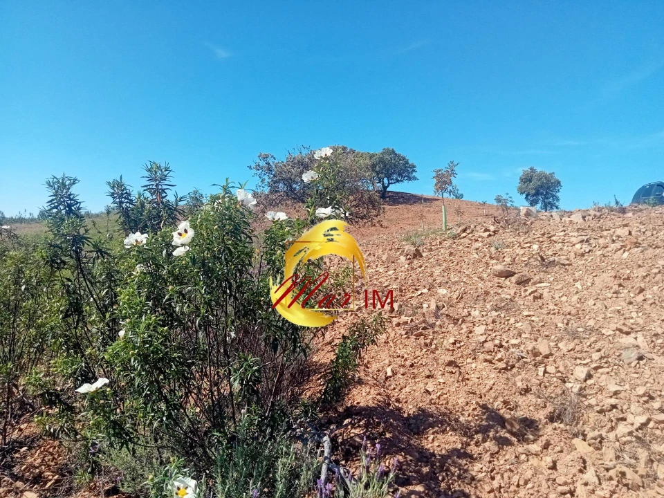 Terreno Agricola ou Rústico para Venda em Azinhal Foto 3