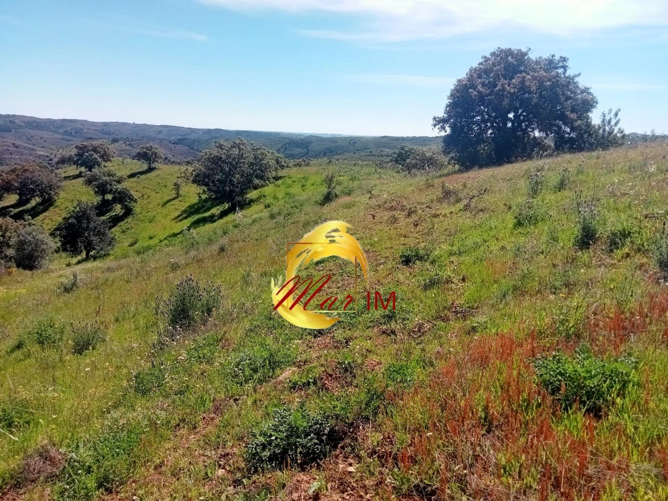 Terreno Agricola ou Rústico para Venda em Azinhal Foto 4