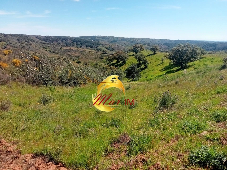 Terreno Agricola ou Rústico para Venda em Azinhal Foto 5