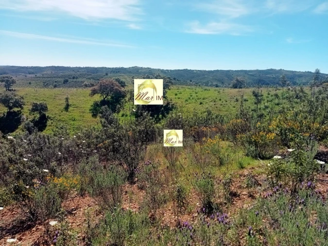 Terreno Agricola ou Rústico para Venda em Azinhal Foto 2