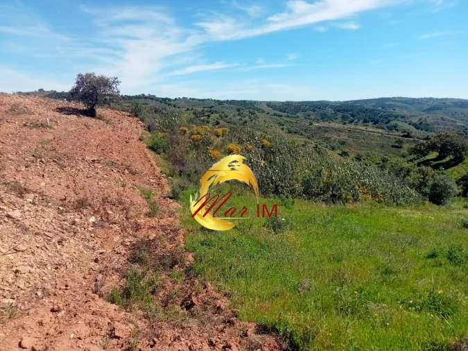 Terreno Agricola ou Rústico para Venda em Azinhal Foto 5