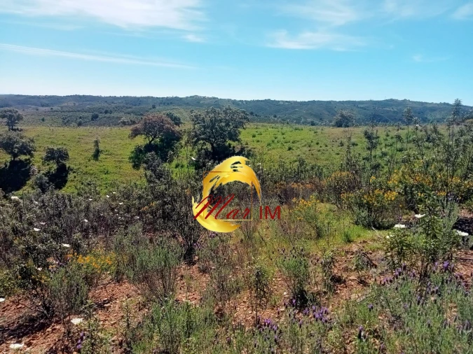 Terreno Agricola ou Rústico para Venda em Azinhal Foto 2
