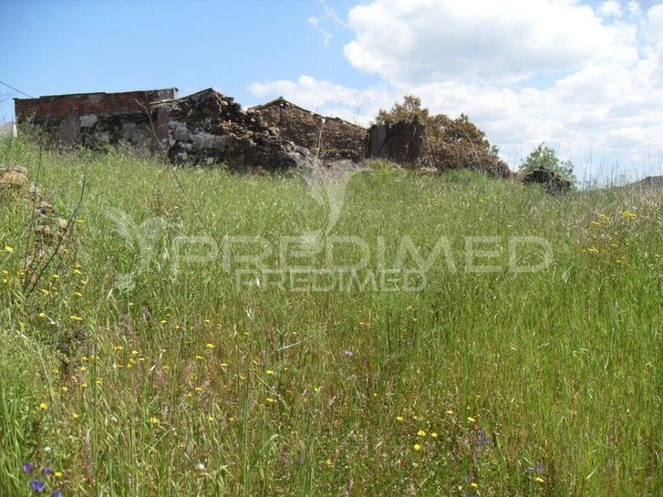 Terreno para Venda em São Bartolomeu de Messines Foto 9