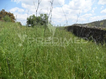 Terreno para Venda em São Bartolomeu de Messines
