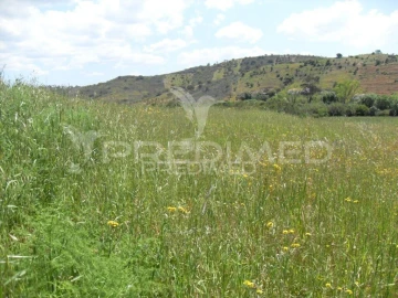 Terreno para Venda em São Bartolomeu de Messines