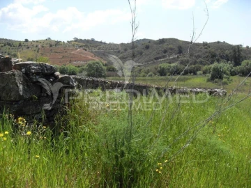 Terreno para Venda em São Bartolomeu de Messines