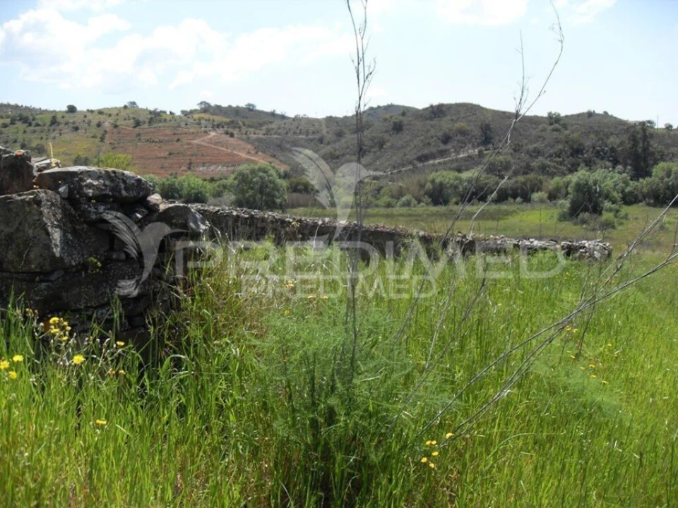 Terreno para Venda em São Bartolomeu de Messines Foto 10