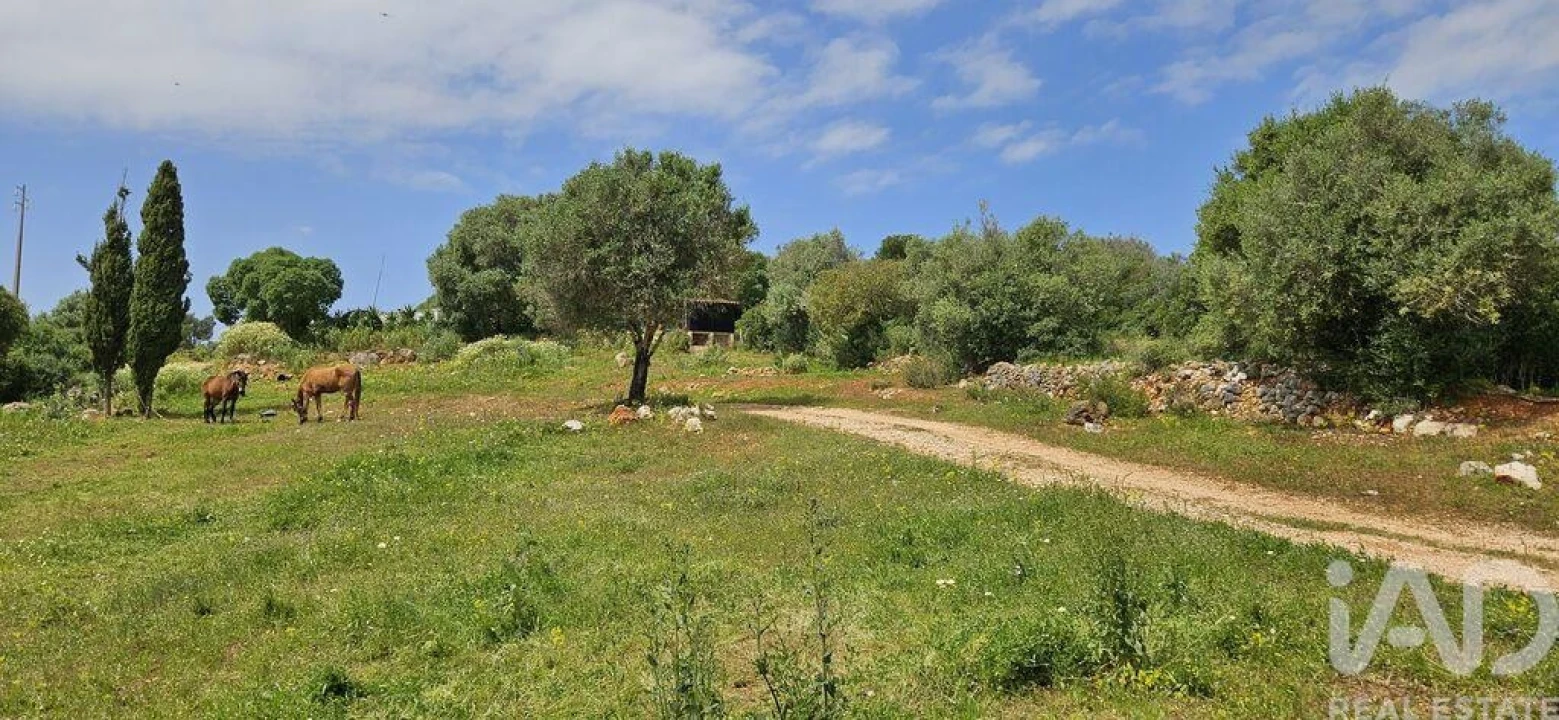 Terreno para Venda em Barão de São Miguel Foto 13