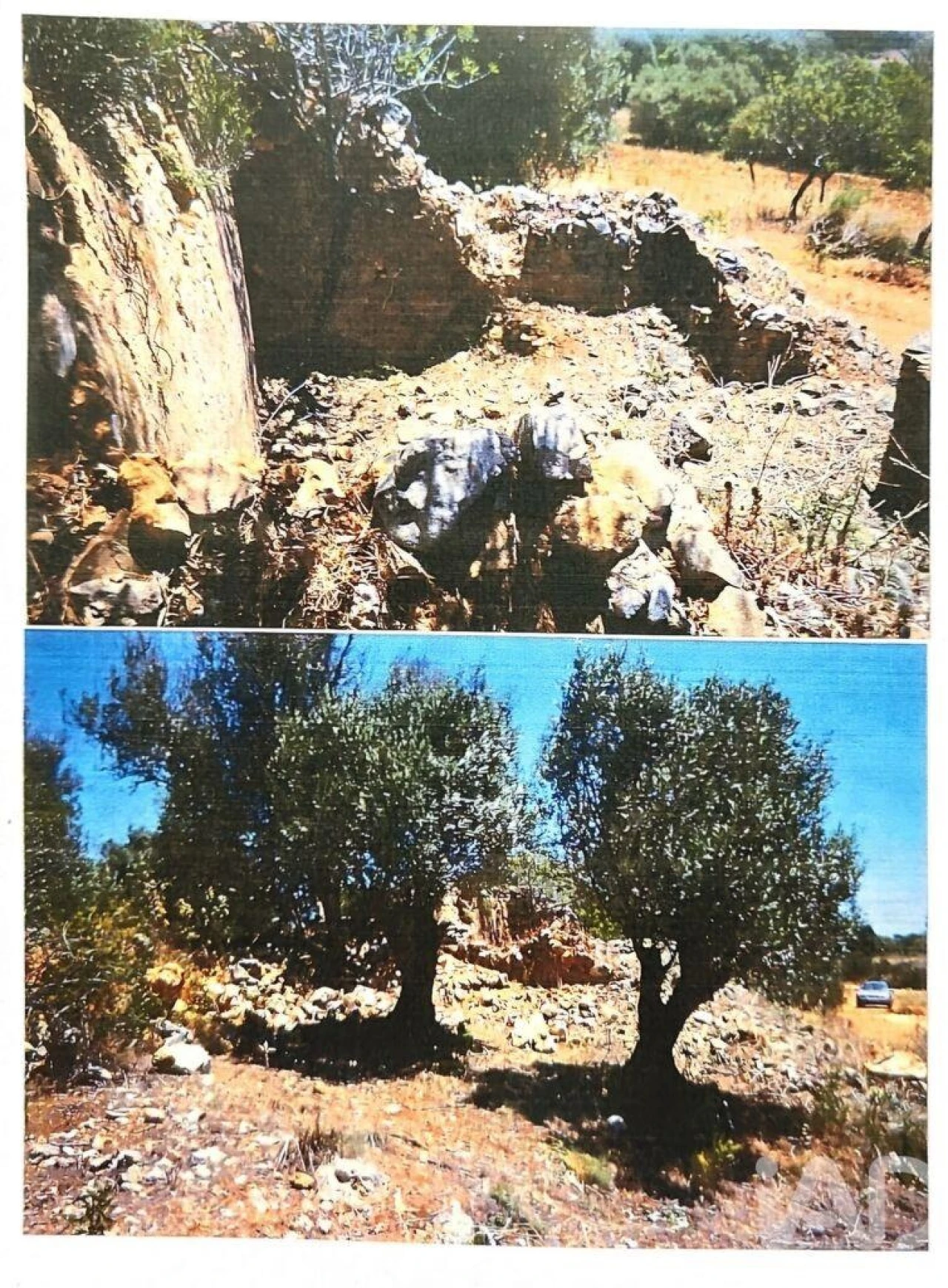 Terreno para Venda em Barão de São Miguel Foto 35