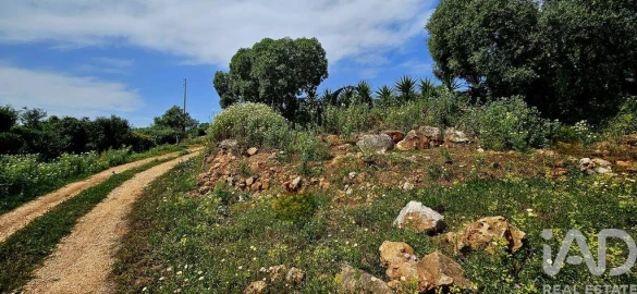 Terreno para Venda em Barão de São Miguel