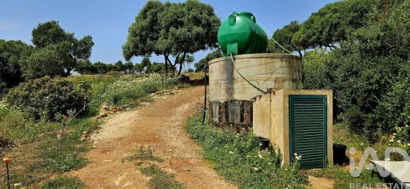 Terreno para Venda em Barão de São Miguel