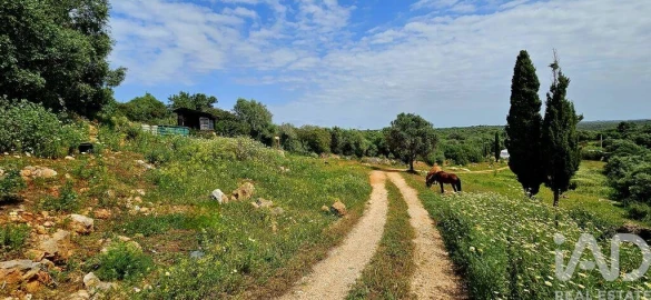 Terreno para Venda em Barão de São Miguel