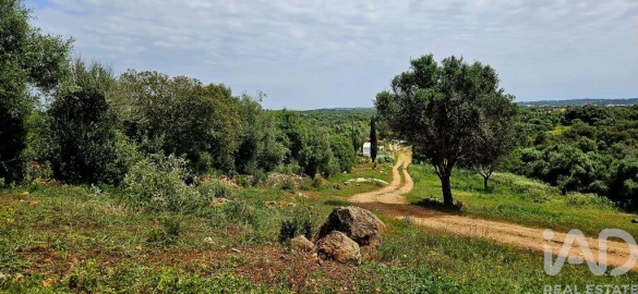 Terreno para Venda em Barão de São Miguel