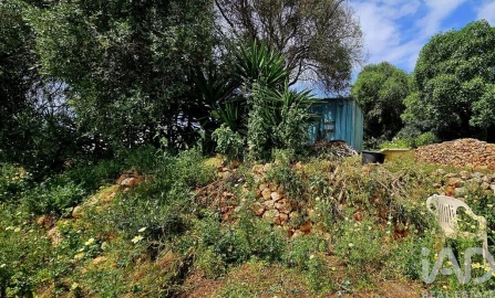 Terreno para Venda em Barão de São Miguel