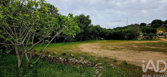 Terreno para Venda em Barão de São Miguel