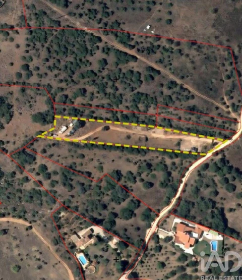 Terreno para Venda em Barão de São Miguel