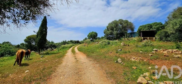 Terreno para Venda em Barão de São Miguel