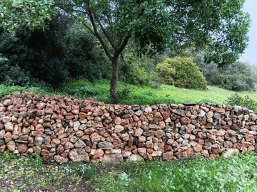 Terreno para Venda em Barão de São Miguel