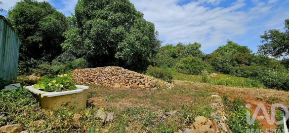 Terreno para Venda em Barão de São Miguel